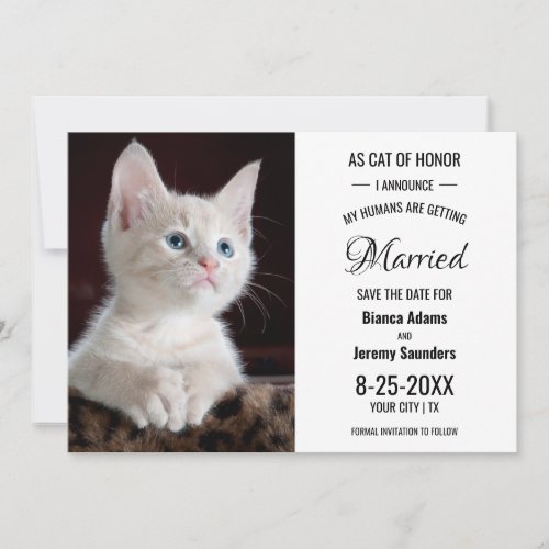 Cat of Honor Pet Photo Wedding Save The Date