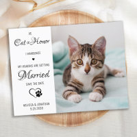  Cat Of Honor Pet Wedding Photo Save The Date 