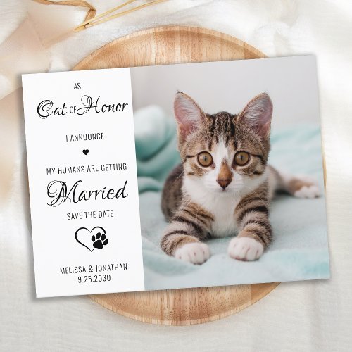  Cat Of Honor Pet Wedding Photo Save The Date  Announcement Postcard