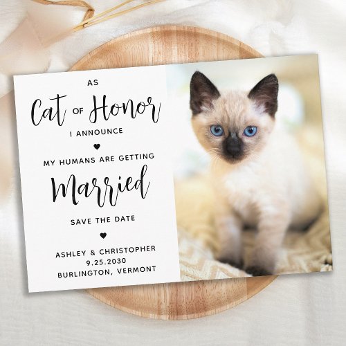 Cat Of Honor Save The Date
