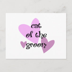 Cat of the Groom Postcard