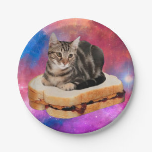 Cat on a bread flying in space paper plates