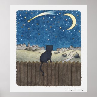 Cat on a fence looking at night sky above city poster