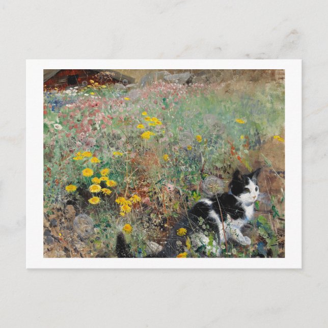Cat on a Flowery Meadow, Bruno Liljefors Postcard (Front)