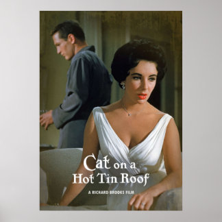 Cat On A Hot Tin Roof Poster
