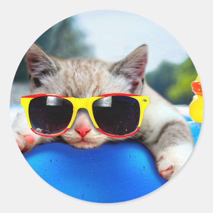 Cat On A Mattress In The Ocean Water At The Beach Classic Round Sticker