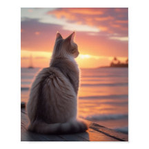 Cat on a Pier with a Sunset and Oceanic Backdrop
