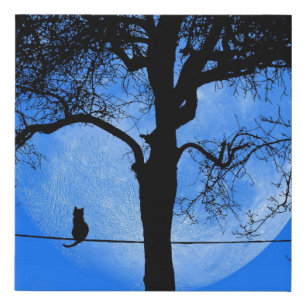 Cat on a Wire Blue Moon Faux Canvas Print