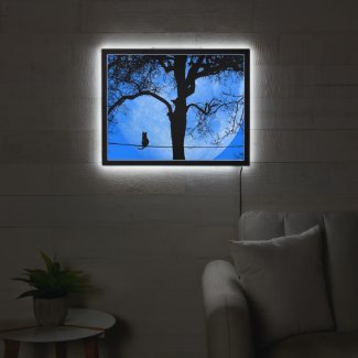 Cat on a Wire Blue Moon