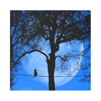 Cat on a Wire Blue Moon Metal Print