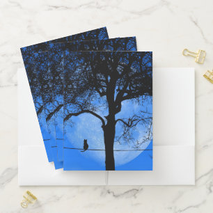 Cat on a Wire Blue Moon Pocket Folder