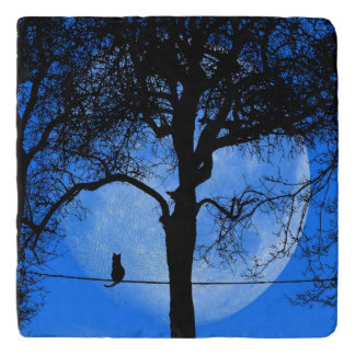 Cat on a Wire Blue Moon Trivet