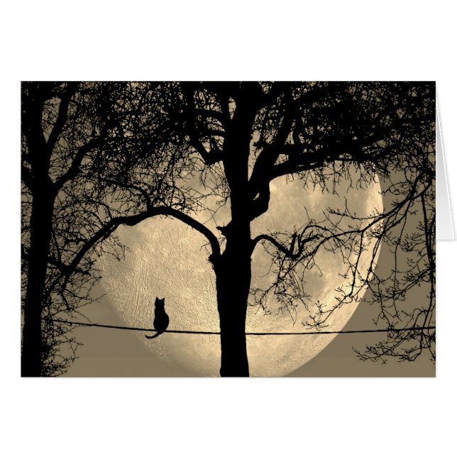 Cat on a Wire Full Moon Blank Inside Cards (Front Horizontal)