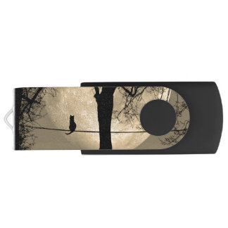 Cat on a Wire Full Moon Flash Drive