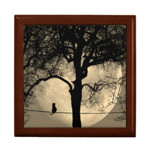 Cat on a Wire Full Moon Gift Box