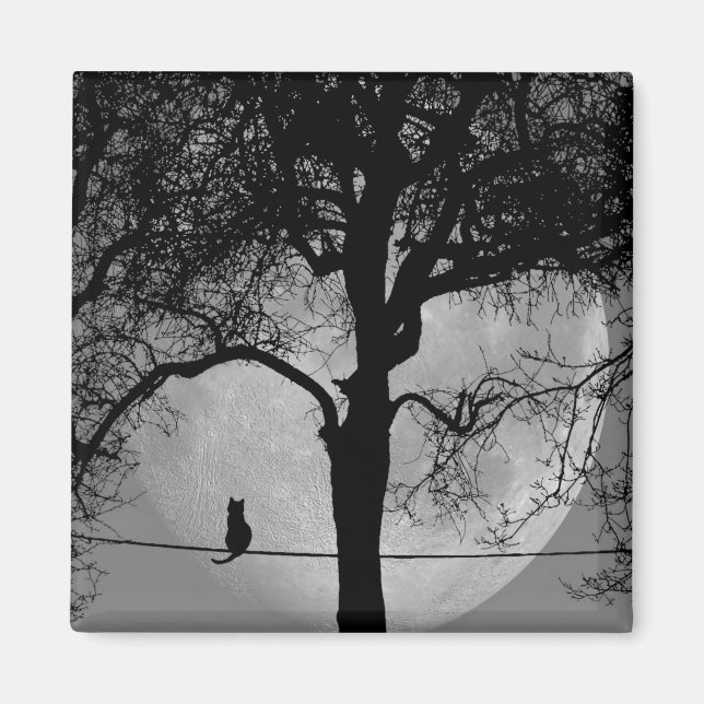Cat on a Wire Full Moon Magnet (Front)