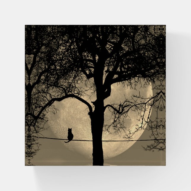 Cat on a Wire Full Moon Paperweight (Front)