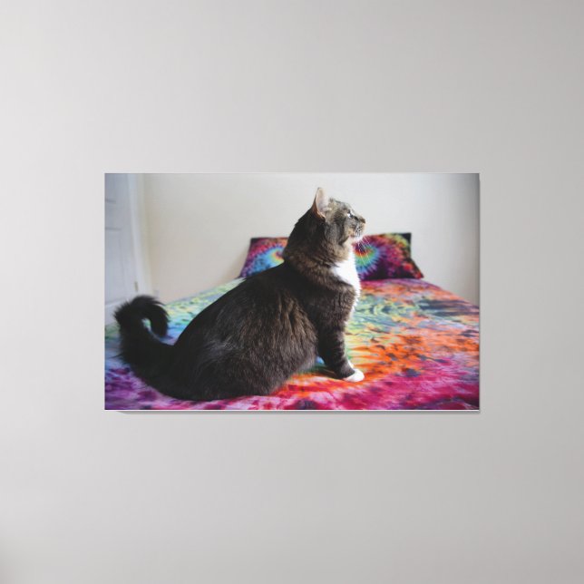 Cat on bed Stretched Canvas Print (Front)