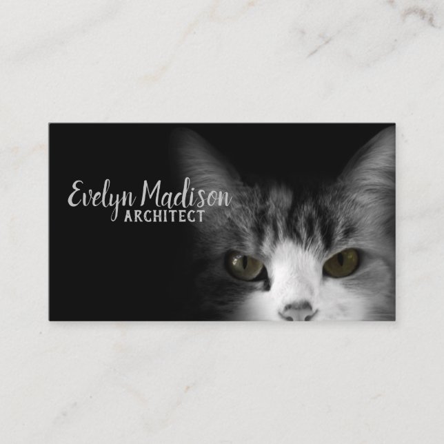 Cat On Black Background Business Card (Front)