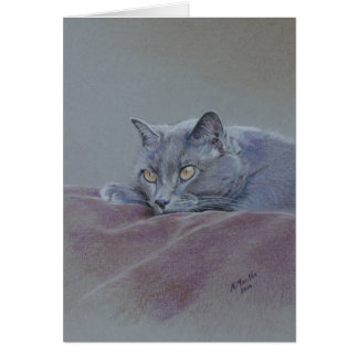 Cat on blanket, Just Relaxing, fine art Cards