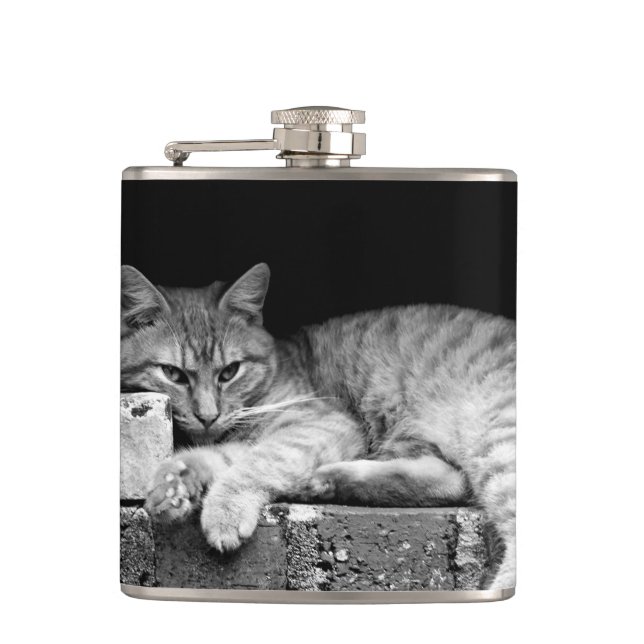 Cat on Brick Wall Flask (Front)