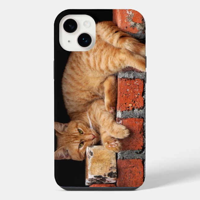 Cat on Brick Wall Iphone Case (Back)