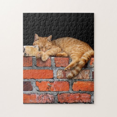 Cat on Brick Wall Jigsaw Puzzle