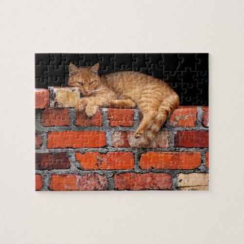 Cat on Brick Wall Jigsaw Puzzle