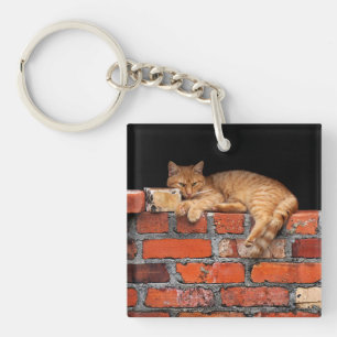 Cat on Brick Wall Keychain