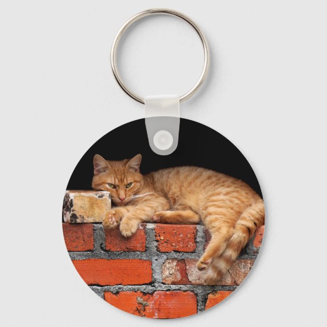 Cat on Brick Wall Keychain (Front)