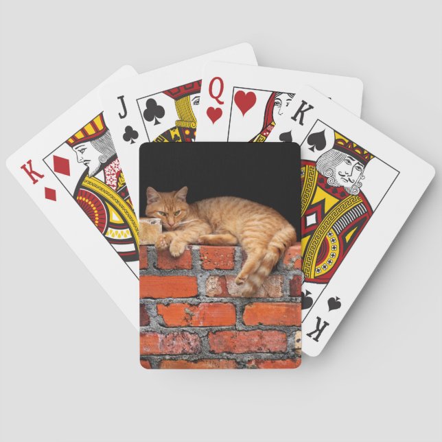 Cat on Brick Wall Poker Cards (Back)