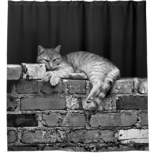 Cat on Brick Wall Shower Curtain