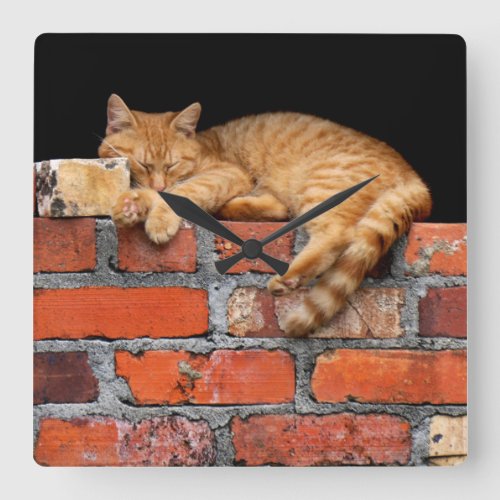 Cat on Brick Wall Square Wall Clock