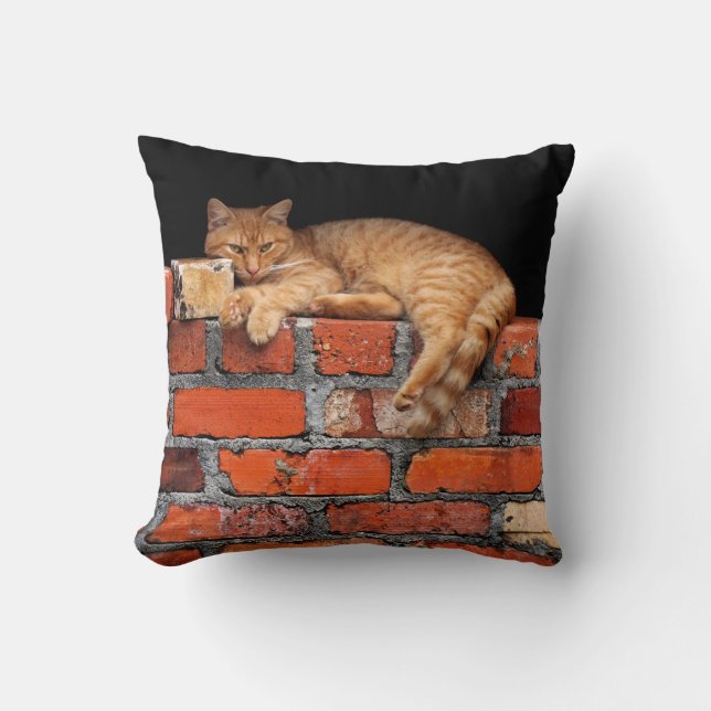 Cat on Brick Wall Throw Pillow (Front)