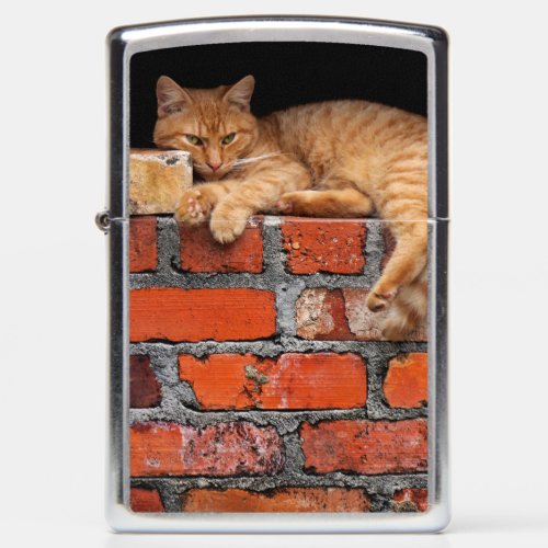 Cat on Brick Wall Zippo Lighter