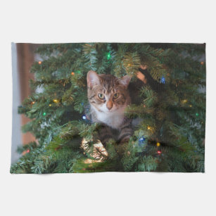 https://rlv.zcache.com/cat_on_christmas_tree_kitchen_towel-ra41ea5d6eec84f58bbfc90d515e33510_2cf11_8byvr_307.jpg