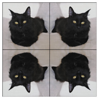 Cat on Couch Fabric