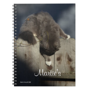Cat on Fence (18) Notebook