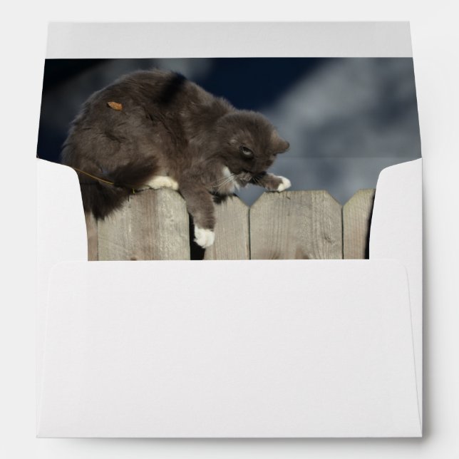 Cat on Fence (9) Envelope (Back (Bottom))