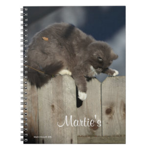 Cat on Fence (9) Notebook