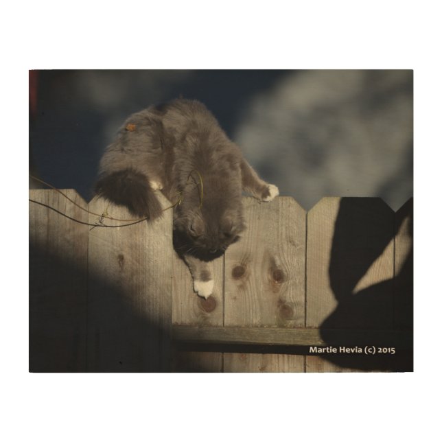 Cat on Fence (on Wood Art) Wood Wall Art (Front)