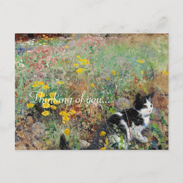 Cat on Flowerbed Postcard (Front)