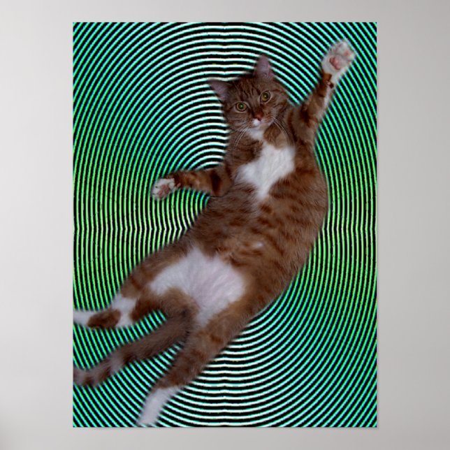 Cat on Hypnotic Background Poster (Front)