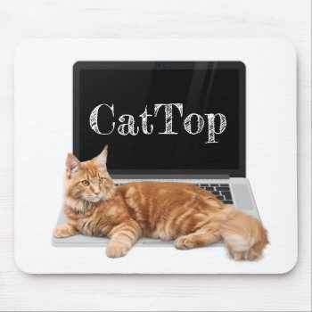 Cat on Laptop - CatTop Mouse Pad