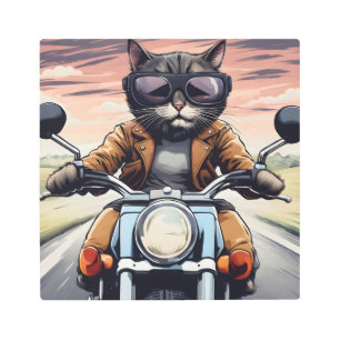Cat on motorbike metal print