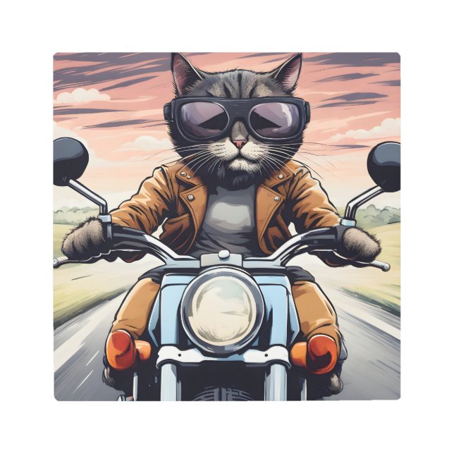 Cat on motorbike metal print (Front)