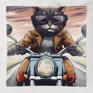 Cat on motorbike trinket tray