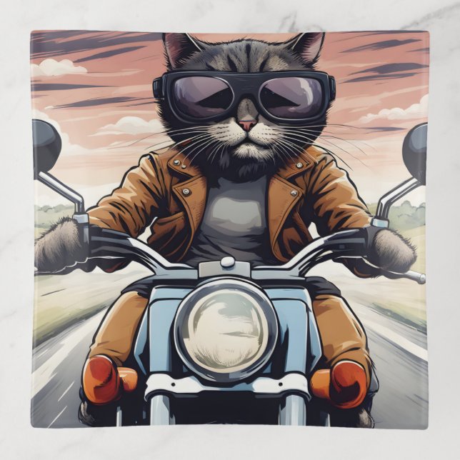 Cat on motorbike trinket tray (Front)