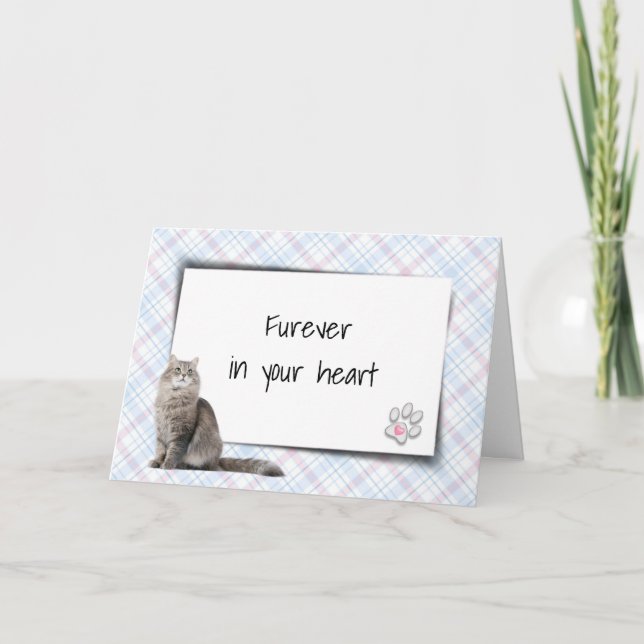 Cat On Plaid Pet Loss Sympathy Card (Front)