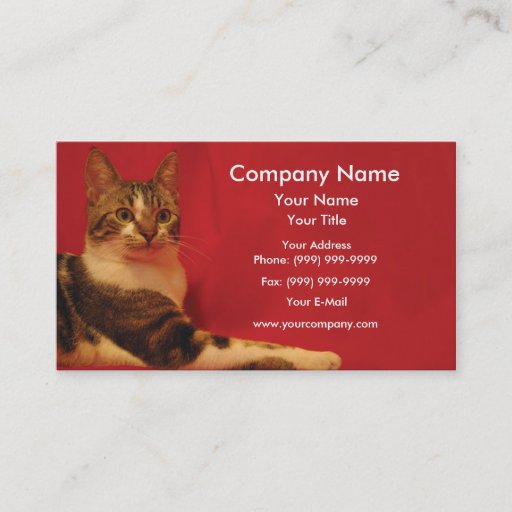 Customizable Cat on red background business card